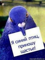 Аватара пользователя